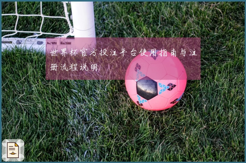 世界杯官方投注平台使用指南与注册流程说明