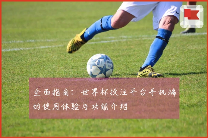 全面指南：世界杯投注平台手机端的使用体验与功能介绍