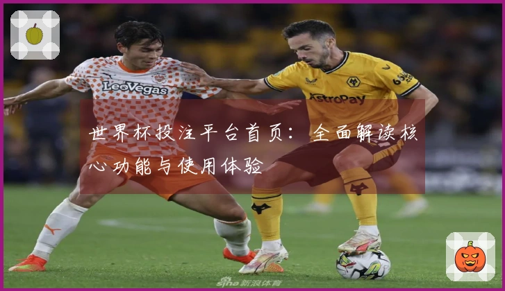 世界杯投注平台首页：全面解读核心功能与使用体验