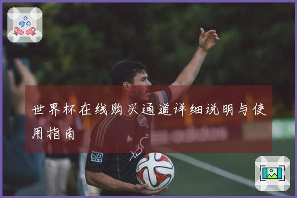 世界杯在线购买通道详细说明与使用指南
