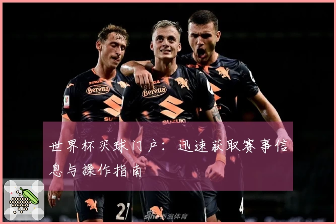 世界杯买球门户：迅速获取赛事信息与操作指南