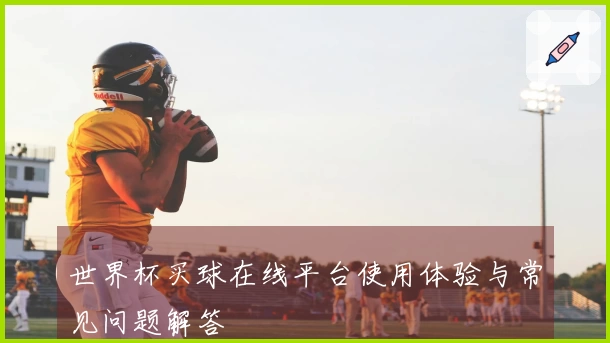 世界杯买球在线平台使用体验与常见问题解答