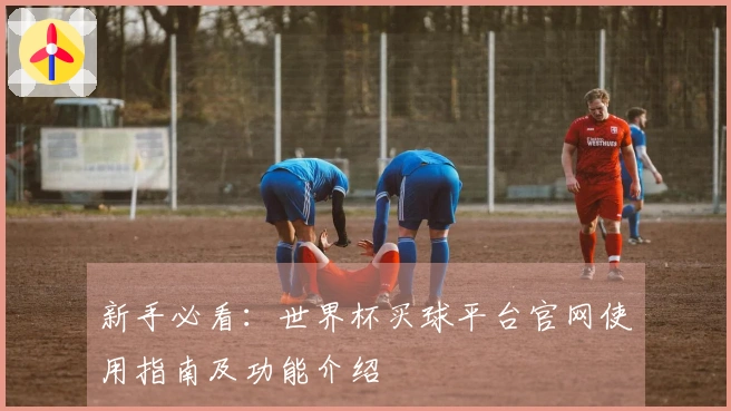 新手必看：世界杯买球平台官网使用指南及功能介绍