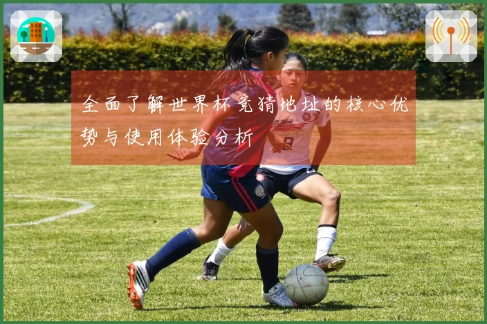 全面了解世界杯竞猜地址的核心优势与使用体验分析