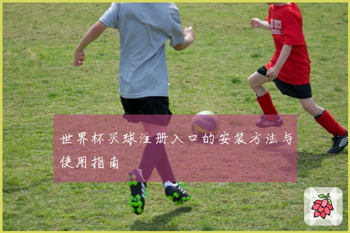 世界杯买球注册入口的安装方法与使用指南
