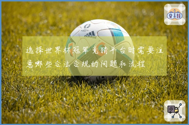选择世界杯冠军竞猜平台时需要注意哪些合法合规的问题和流程