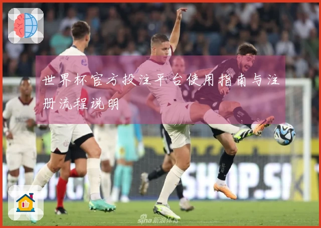 世界杯官方投注平台使用指南与注册流程说明