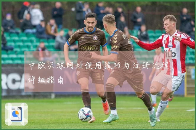中欧买球网址使用技巧与注册流程详细指南