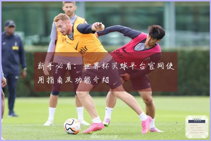 新手必看：世界杯买球平台官网使用指南及功能介绍