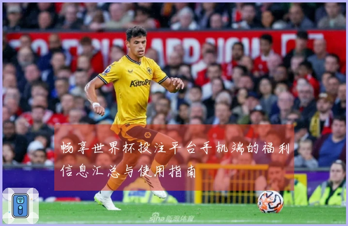畅享世界杯投注平台手机端的福利信息汇总与使用指南
