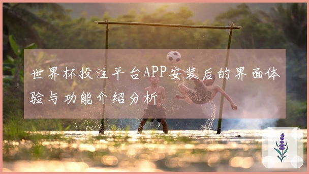 世界杯投注平台APP安装后的界面体验与功能介绍分析