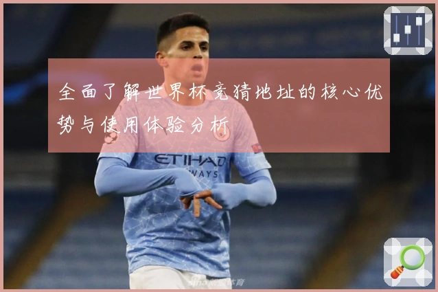 全面了解世界杯竞猜地址的核心优势与使用体验分析