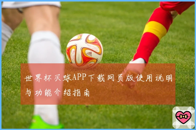 世界杯买球APP下载网页版使用说明与功能介绍指南