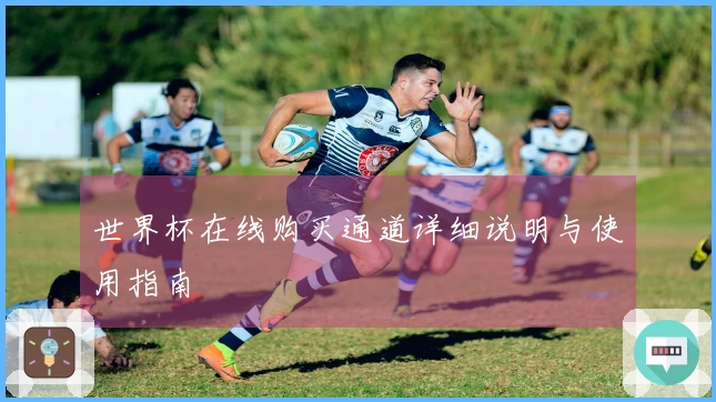 世界杯在线购买通道详细说明与使用指南