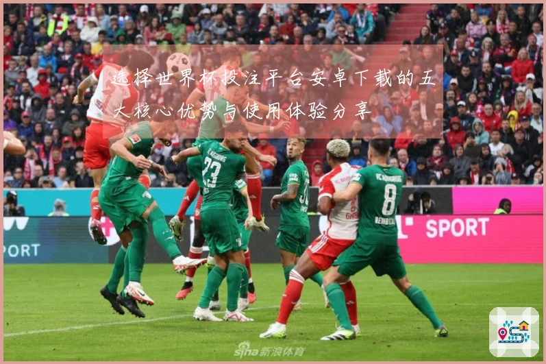 选择世界杯投注平台安卓下载的五大核心优势与使用体验分享