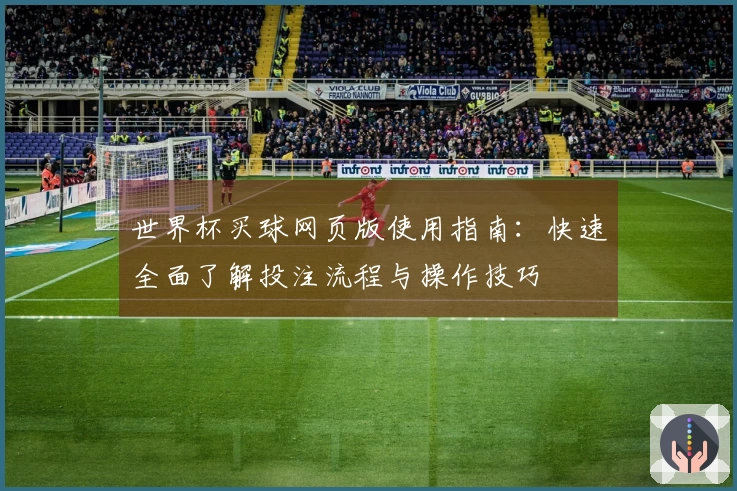 世界杯买球网页版使用指南：快速全面了解投注流程与操作技巧
